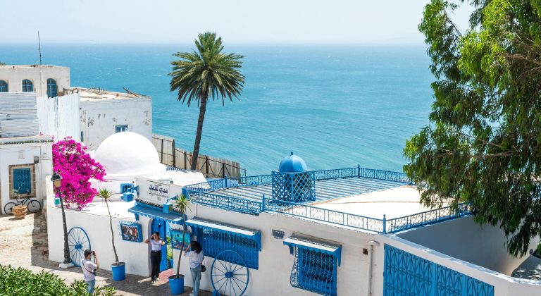 pexels-mahmoud-yahyaoui-27599623