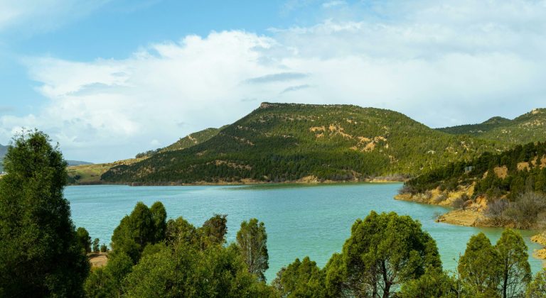 pexels-mahmoud-yahyaoui-28458692